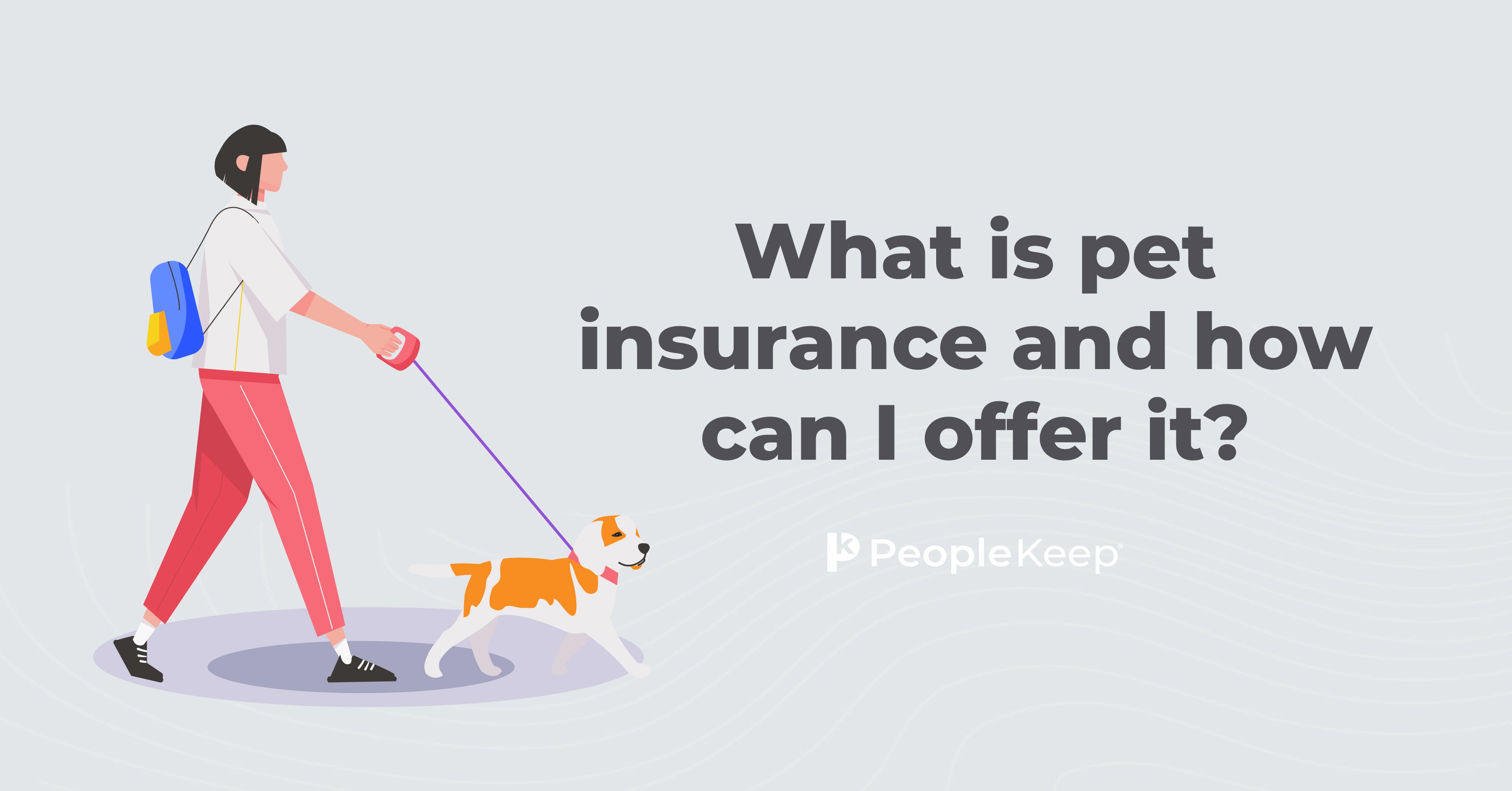 What is pet insurance, and how can I offer it?